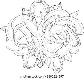 Realistic peony flower bouquet sketch template. Graphic chinese rose vector illustration in black and white for games, background, pattern, decor. Coloring paper, page, story book. Print for fabrics