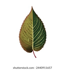 Ilustración vectorial de hoja de perilla realista Asia