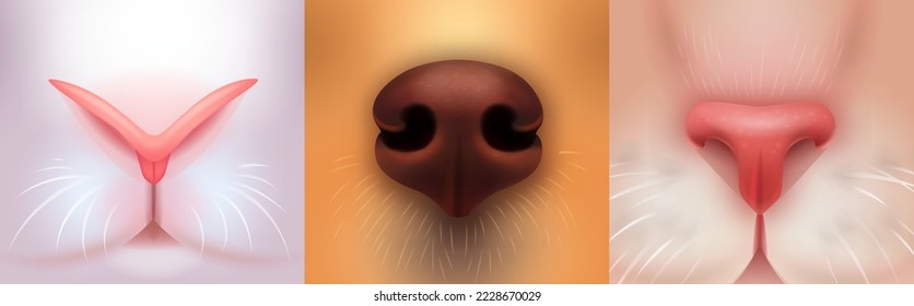 Lágrimas realistas para mascotas. Closeup de hocico felino, cara de gato de piel o perro cachorro curioso olfato negro 3d nariz, canina de gato y boquilla animal de conejo de Pascua, ingeniosa ilustración vectorial de la nariz del gato animal