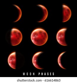 Realistic Phases of Moon on black background. Vector illustration
