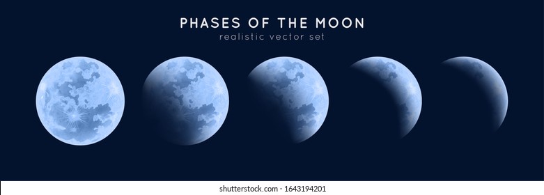 Fases realistas de la luna. Colección lunar de elementos vectoriales. Luz de luna