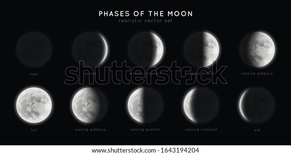 Realistic phases of the moon. Vector elements\
lunar collection.\
Moonlight