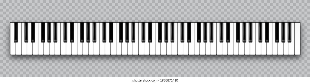 Realistic piano key. Musical instrument keyboard on checkered background. Vector illustration.