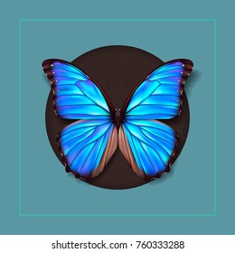 Realistic picture butterfly Morpho Didius. Vector art