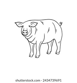 Realistic pig standing in black isolated on white background. Hand drawn vector sketch doodle illustration in engraved vintage line art style. Concept of domestic farm animals, pork, meat, food.