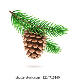 Realistic pine cone at fir tree branch or 3d strobilus at pine-tree twig. Spruce with evergreen seed part of plant. Decoration for new year and christmas, xmas festive and holidays. Celebration theme