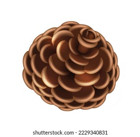 Realistic pine cone isolated. Christmas and new year decor symbol. Spruce tree object on white background. 3d cedar or fir branch wood element. Vector illustration