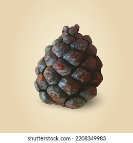 Realistic Pine Cone, isolated vector illustration
