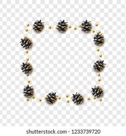 Realistic pine cones isolated on a transparent background. vector illustration