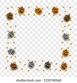 Realistic pine cones isolated on a transparent background. vector illustration