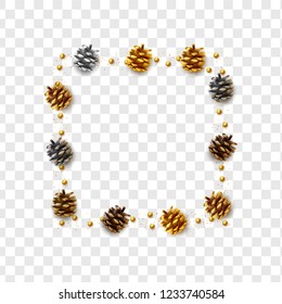 Realistic pine cones isolated on a transparent background. vector illustration