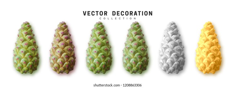 Realistic pine cones set isolated on white background