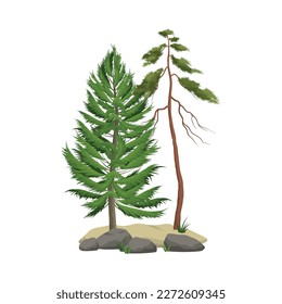 Realistic pine forest elements with green trees and boulders vector illustration