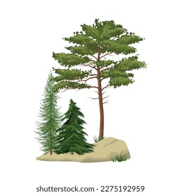 Realistic pine forest elements with green trees on white background vector illustration