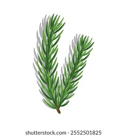 Realistic Pine Tree Vector – Perfect for Christmas-Themed Designs, Cards, and Decorations