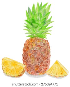 Realistic pineapple drawn by color pencils isolated on white background.