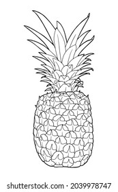 Realistic pineapple illustration. Juicy tropical fruit. Botanical illustration. Coloring page. Black outline. 