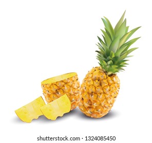 Realistic pineapple on a white background close-up. Vector graphics. Fruits.