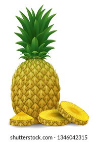 Realistic pineapple with sliced. 3d illustration isolated on white background 