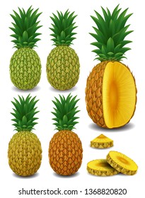 Realistic pineapple with sliced. 3d illustration isolated on white background