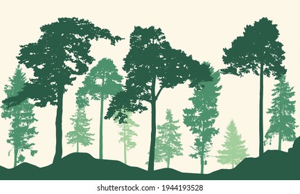 Realistic pines and spruce trees. Coniferous forest silhouette. Vector illustration