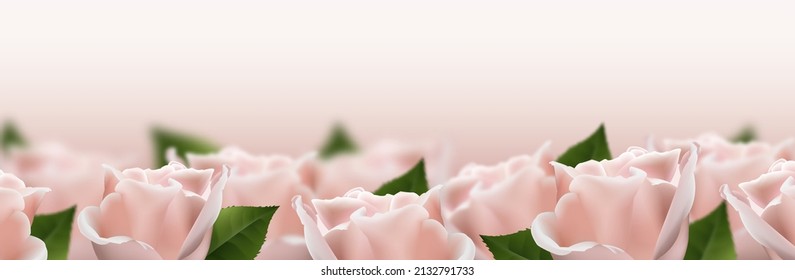 Realistic pink 3d rose flowers on white background. Vector illustration