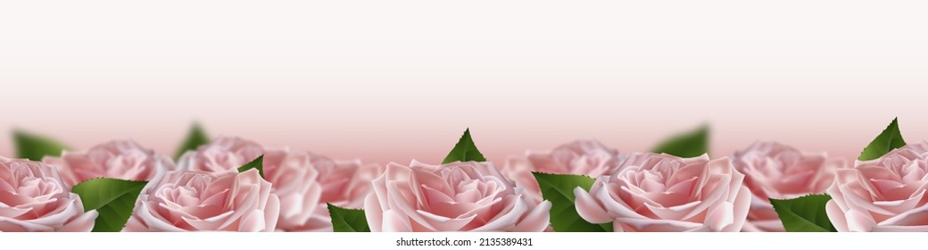 Realistic pink 3d rose flowers on white background. Vector illustration