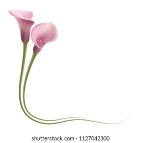 Realistic Pink Calla Lily Frame Corner Stock Vector (Royalty Free ...