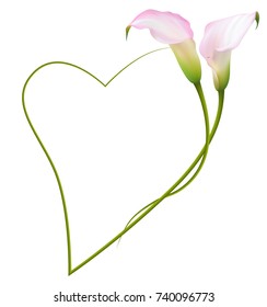 Realistic pink calla lily frame, heart. The symbol of Enchanting beauty.