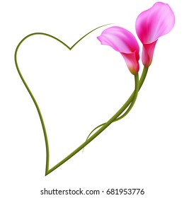 Realistic pink calla lily romantic frame, heart. The symbol of Enchanting beauty.