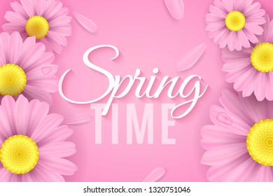 Realistic pink daisy flowers. Spring seasonal stylish modern cover for your project. Ecological composition. Flying petals. Spring time. Vector illustration. EPS 10