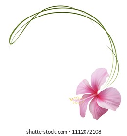 Realistic pink hibiscus frame, circle frame.