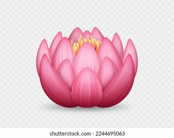 Realistic pink lotus flower. Beautiful water lily isolated on white background. 3d element for beauty procedures, natural cosmetics, massage and yoga concept. Vector illustration