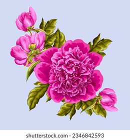 Realistic pink peony isolated. Vector