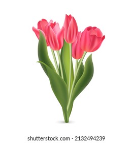 Realistic pink red tulips with green leaves isolated on white background