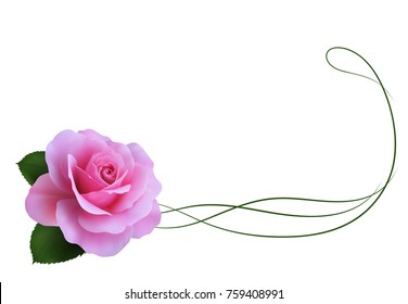 Realistic pink rose, border.