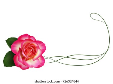 Realistic pink rose, border,footer.