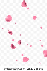 Realistic pink rose petals flying vector