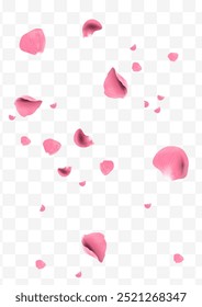 Realistic pink rose petals flying vector