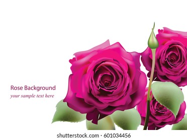 Realistic pink roses bouquet Beautiful Flowers Roses Postcard for Happy Valentines Day, Birthday, Anniversary. Isolated on White Background - Vector illustration