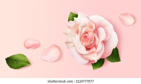 rosas y pétalos rosados realistas sobre fondo rosado en 3d ilustración, vista superior.