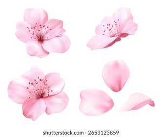 Realistas flores rosa sakura com pétalas delicadas e estames vermelhos - flores de cereja de primavera isoladas em branco para design floral japonês, decorações de casamento ou ilustração botânica da natureza.