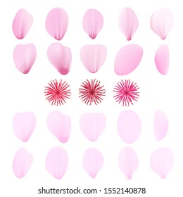 Realistic pink sakura petals icon set. Gradient mesh 3d cherry petals. Vector illustration.