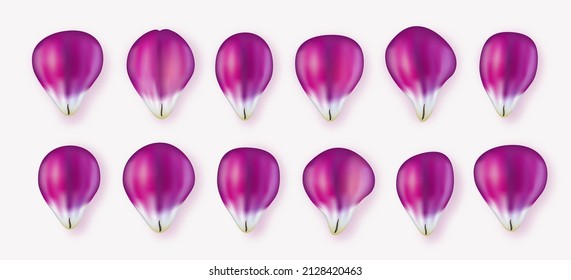 Realistic pink tulip petals set