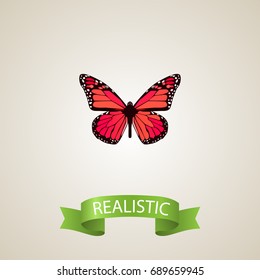 Realistic Pink-Wing Element. Vector Illustration Of Realistic Azure Peacock Isolated On Clean Background. Can Be Used As Pink, Peacock And Butterfly Symbols.