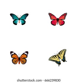 Realistic Pipevine, Azure Peacock, Checkerspot And Other Vector Elements. Set Of Moth Realistic Symbols Also Includes Swallowtail, Peacock, Blue Objects.