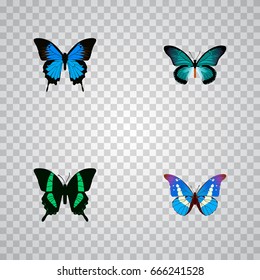 Realistic Pipevine, Bluewing, Beauty Fly And Other Vector Elements. Set Of Beauty Realistic Symbols Also Includes Bluewing, Blue, Butterfly Objects.