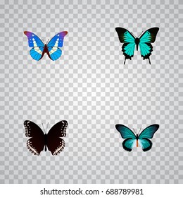 Realistic Pipevine, Copper, Bluewing And Other Vector Elements. Set Of Butterfly Realistic Symbols Also Includes Hypolimnas, Black, Bluewing Objects.