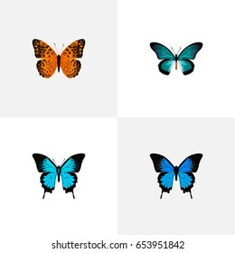 Realistic Pipevine, Papilio Ulysses, Danaus Plexippus And Other Vector Elements. Set Of Beauty Realistic Symbols Also Includes Orange, Blue, Cypris Objects.