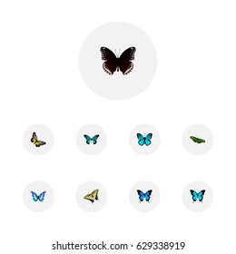 Realistic Pipevine, Summer Insect, Green Peacock And Other Vector Elements. Set Of Beauty Realistic Symbols Also Includes Beauty, Bluewing, Fly Objects.